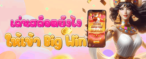 คืนยอดเสียรายสัปดาห์ระดับ VIP promotion